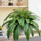 🌱 Helecho de Boston artificial realista y resistente a los rayos UV