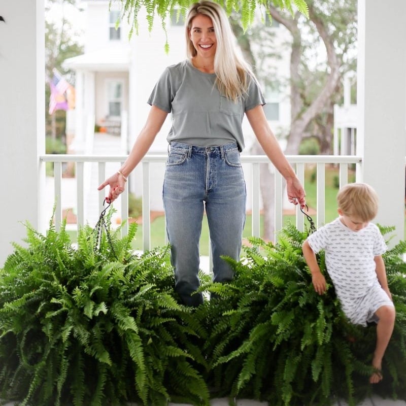 🌱 Helecho de Boston artificial realista y resistente a los rayos UV
