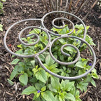 Soporte para plantas